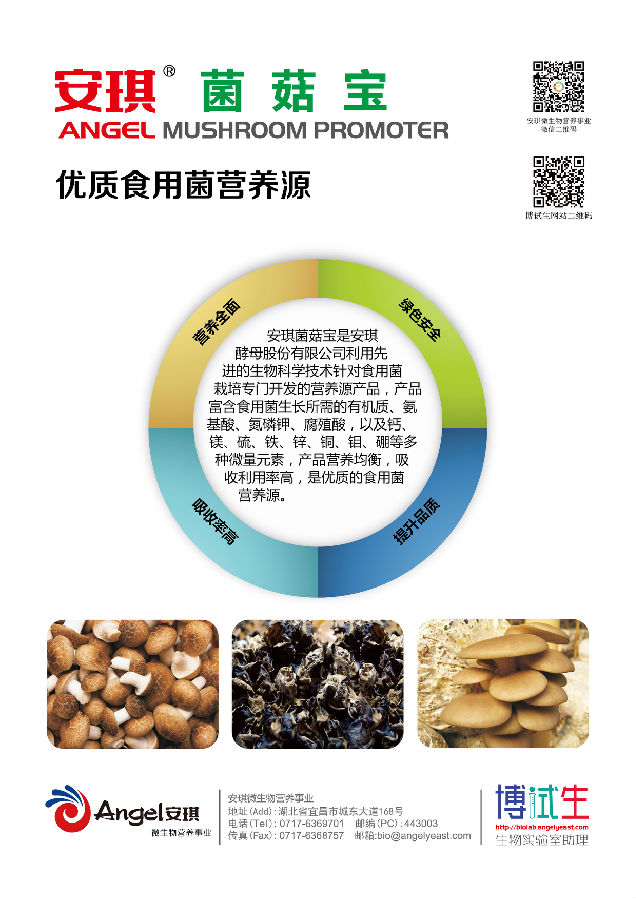 菌菇宝DM单-01.jpg