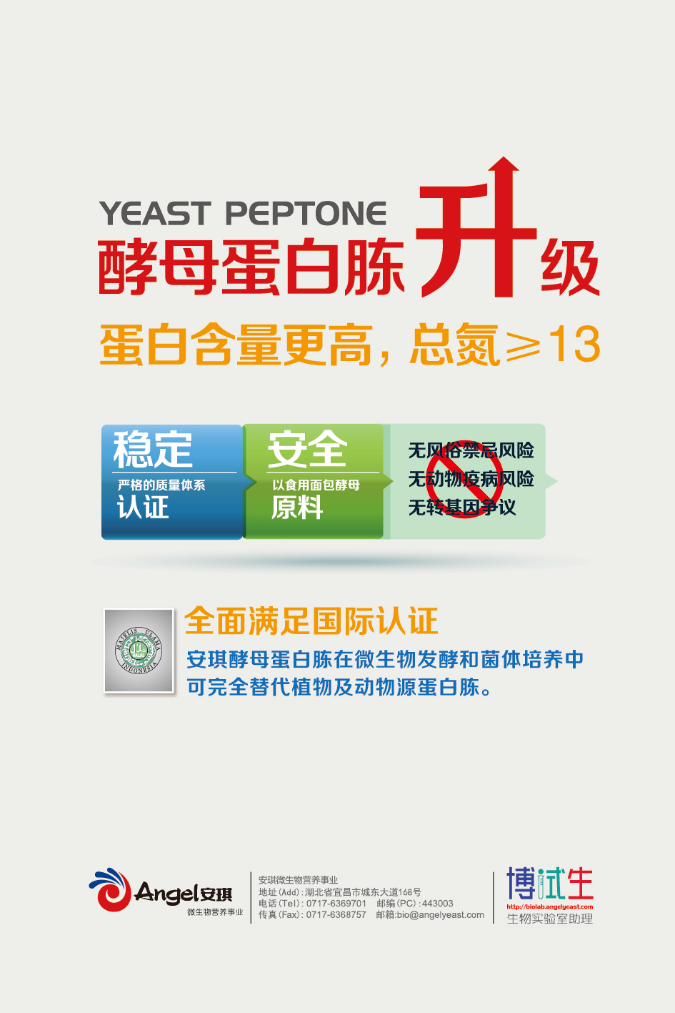 酵母蛋白胨A.jpg