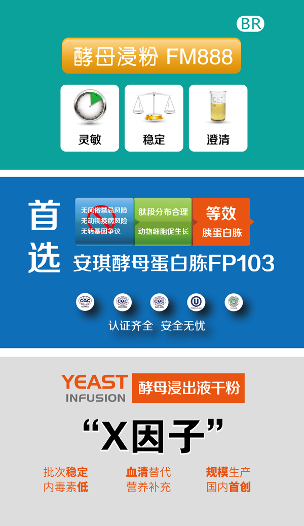 培养基三个.jpg