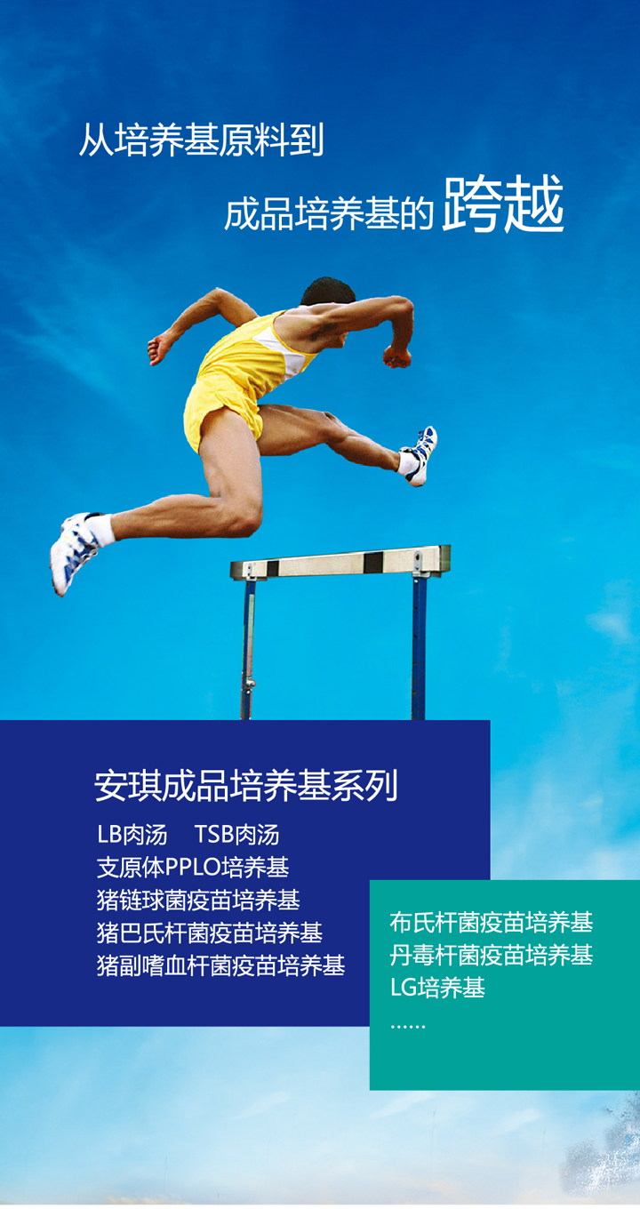 安琪成品培养基系列.jpg