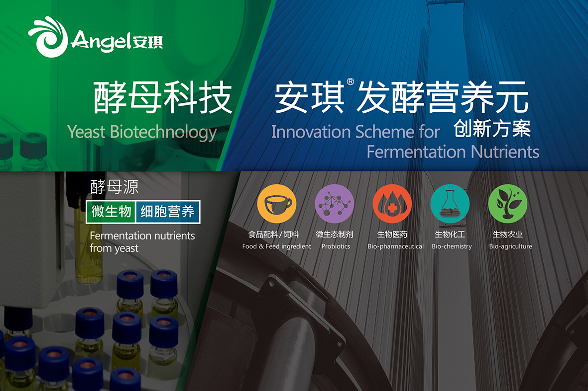 安琪生物发酵营养元.jpg