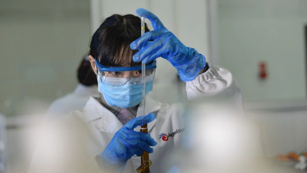 益生菌安全再升级！酵母蛋白胨成关键营养源新选择